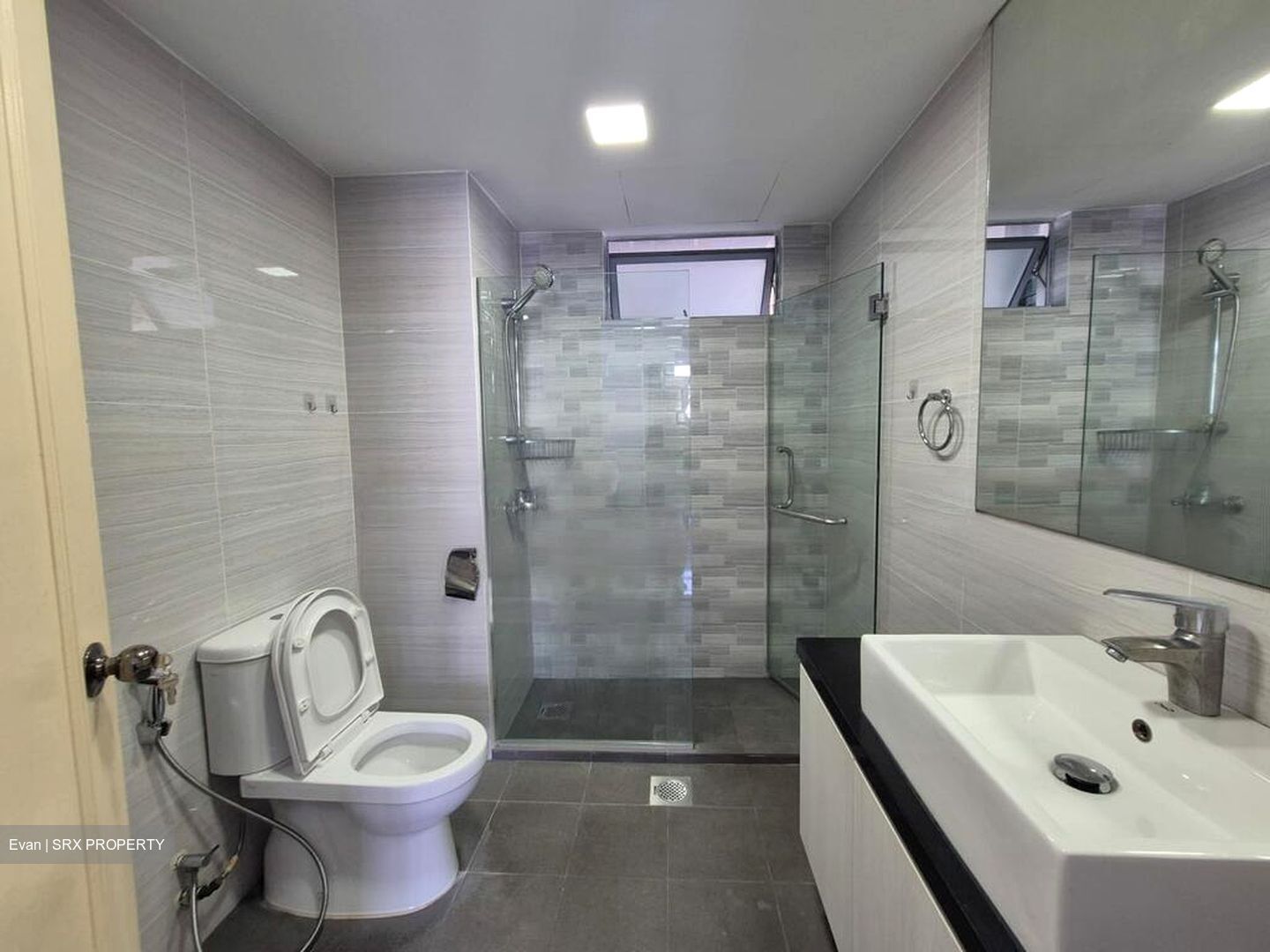 Emerald Park (D3), Condominium #464154671